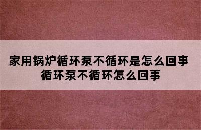 家用锅炉循环泵不循环是怎么回事 循环泵不循环怎么回事